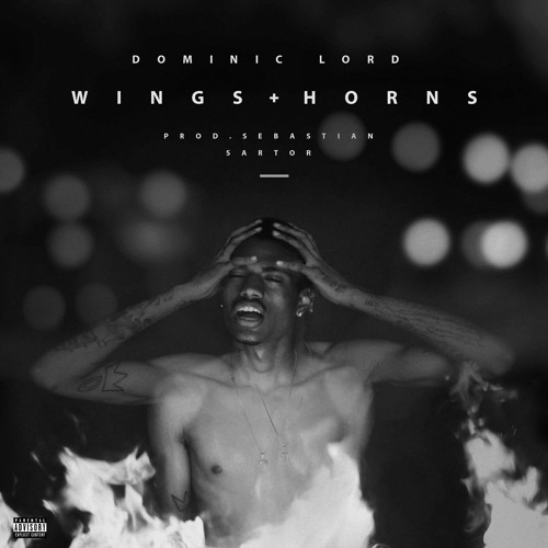 Wings + Horns (Produced by Sebastian Sartor)