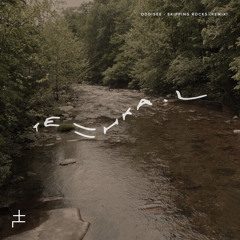 Oddisee - Skipping Rocks (TEHKAL Remix)