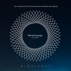 Rein de Sauvage - Krauwket - Vuurdokter Remix