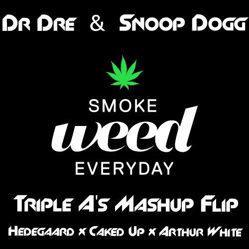 Dr Dre & Snoop Dogg - Smoke Weed Everyday (Triple A's Hedegaard x Caked Up x Arthur White Flip)
