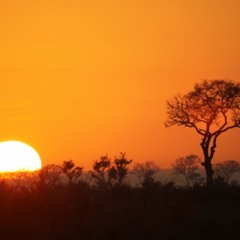 Welcome To Africa
