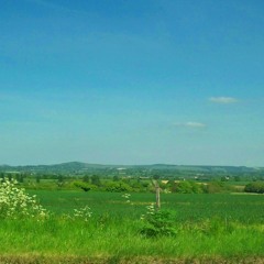 Sunny Afternoon- The Kinks Cover