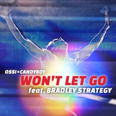 Won't Let Go (feat. Brad Strategy)