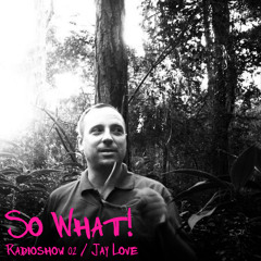 So What Radioshow 02/Jay Love (Summerhill)