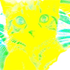 Scratchy