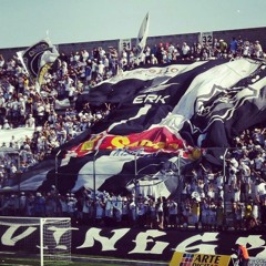 ABC FUTEBOL CLUBE TORCIDA GARRA ALVINEGRA TGA