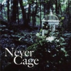 Lareine - Never Cage