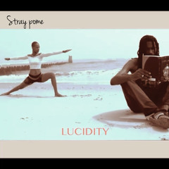 Stray Pome - LUCIDITY