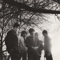 The Casuals -- Who Stole The Family Jewels