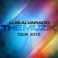 The Muzik - dj Alvarado