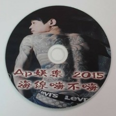 Ap娛樂 - 2015海線嗨不嗨(客製專屬CD)