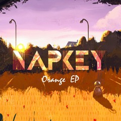 Napkey - Under Cover
