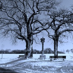 Das menschliche Leben eilt schnelle dahin