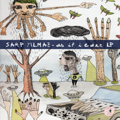 Sarp Yilmaz - Who Knows Where Your Love Goes