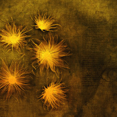 HERMES (Publicité France)