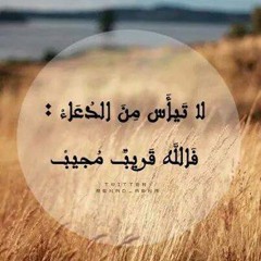 تلاوه خاشعه باكيه للشيخ ياسر الدوسري