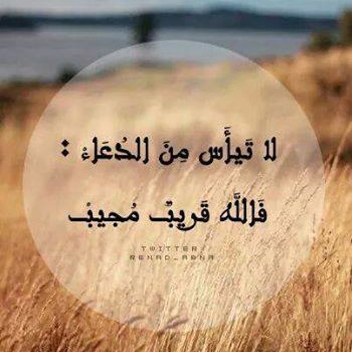تلاوه خاشعه باكيه للشيخ ياسر الدوسري