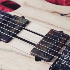 Instrumental Pickups SFTY3