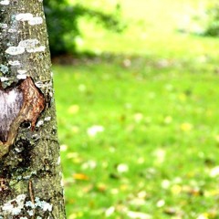 Saknar Dig Mindre Och Mindre