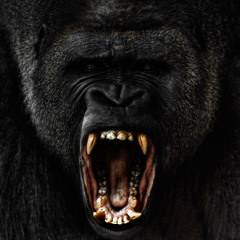 FREE INSTRUMENTAL 2015 - BARISH BEATS