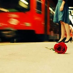 Bai Ann - Incredible Journey