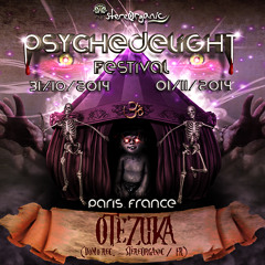 Psychedelight Festival (31/10/2014 Paris)
