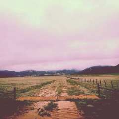 GUMZDRUMZ - STAY HIGH