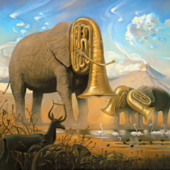 Elephants In The Desert - The Apeiron Project 1