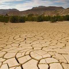 MarceloSZ - Lands Of Misery (original, demo)