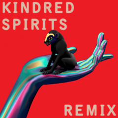 SBTRKT - The Light (Kindred Spirits (GER) Remix)