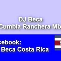 Cumbia Ranchera Mix 2013 By Dj Beka