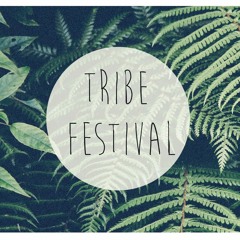 TRIBE FESTIVAL 2015 TEASER // liamsimons // #VIBES