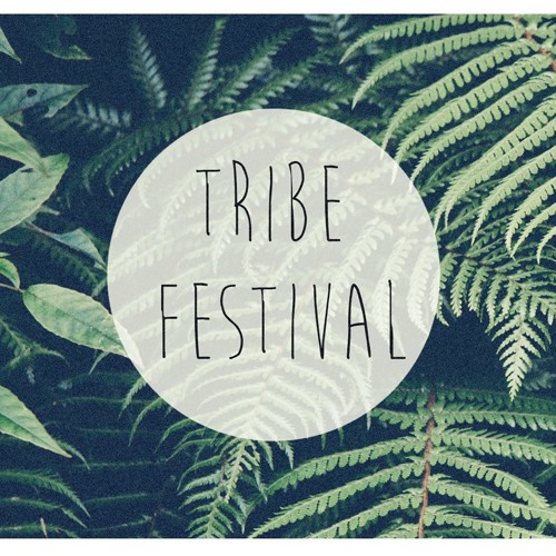 TRIBE FESTIVAL 2015 TEASER // liamsimons // #VIBES