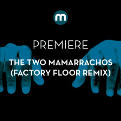 Premiere: The Two Mamarrachos feat Snem K 'Teach Me' (Factory Floor remix)