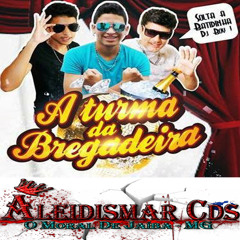 Solo Do Paredão - Turma Da Bregadeira 2015