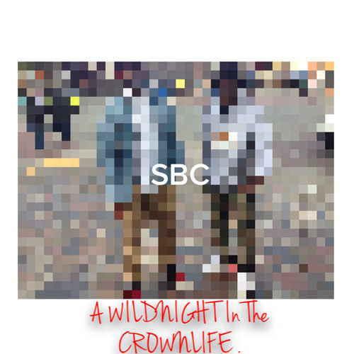 A Wildknight In The Crownlife