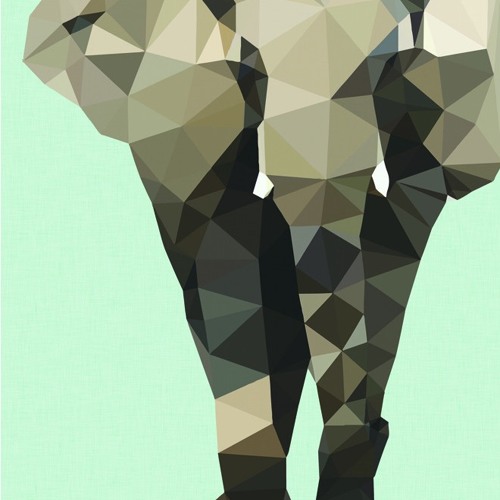 Willem Simonis - Elephant