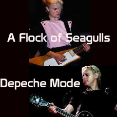 Versus THIRTEEN - Depeche Mode - A Flock Of Seagulls