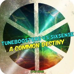 TuneBoosters Vs Sixsense - A Common Destiny (145 Bpm)
