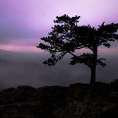 Adam K & Soha - Twilight (Rasse Demo Remix)