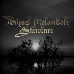 Düşsel Melankoli Satırları - Çığlığım