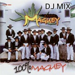 Banda Maguey mix que yo use