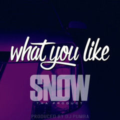 Snow Tha Product - What You Like (prod. by DJ Pumba)