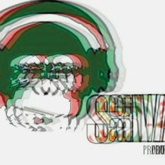 KronologicVibes - Insonics Selva Salva Produções