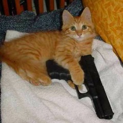 Sleep Crime Vol. 3