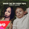 where-the-sky-pussy-pops-passion-pit-x-duhgreatone-remix-rv-mendoza