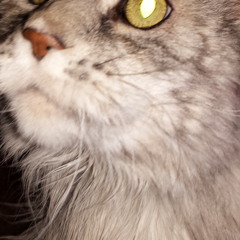 I Don't Have Any Answers (But I Have a Lot of Questions)