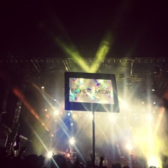 What the Fest 2015