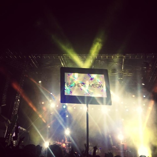 What the Fest 2015