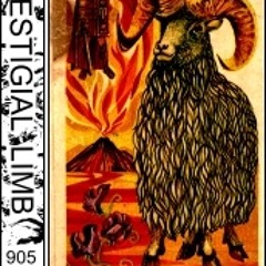 Lung Fluid side A (ext)